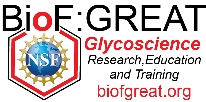 BioF:GREAT — Glycoscience Research, Education and Training
