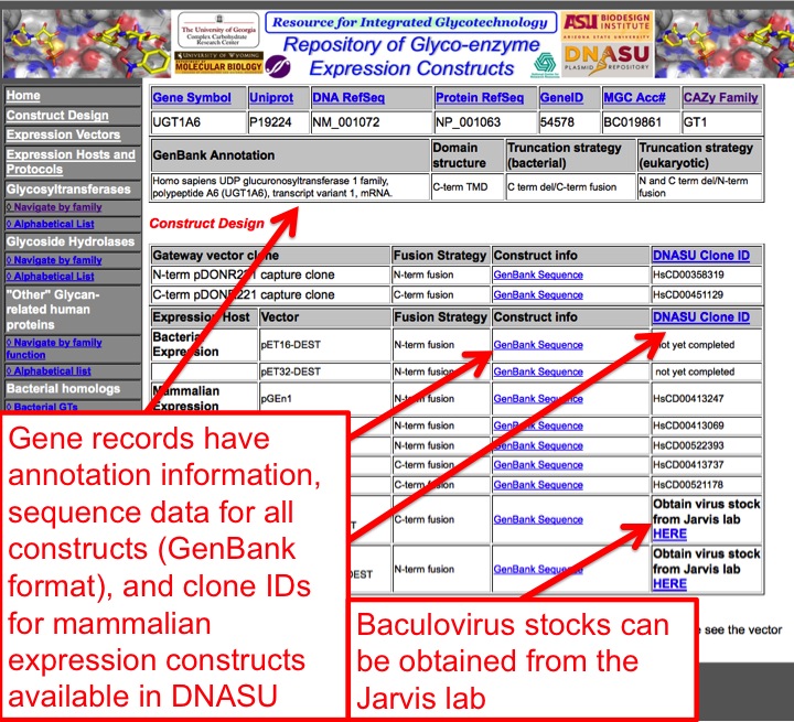 A gene record on the legacy site: annotation in the upper panel, construct designs and clone IDs below. The rebuilt records carry the same fields, grouped by host.