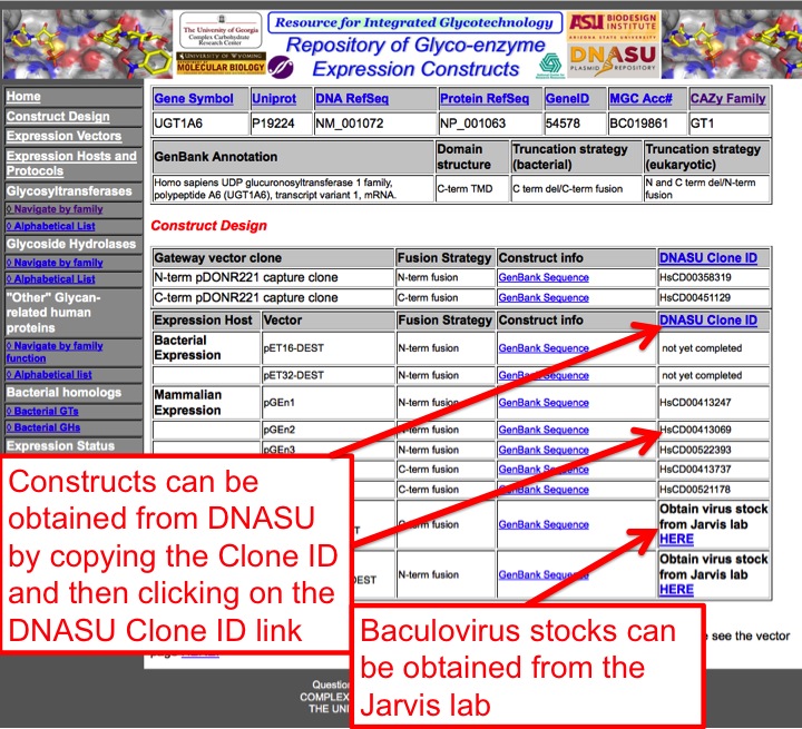 The clone ID column on a gene record.