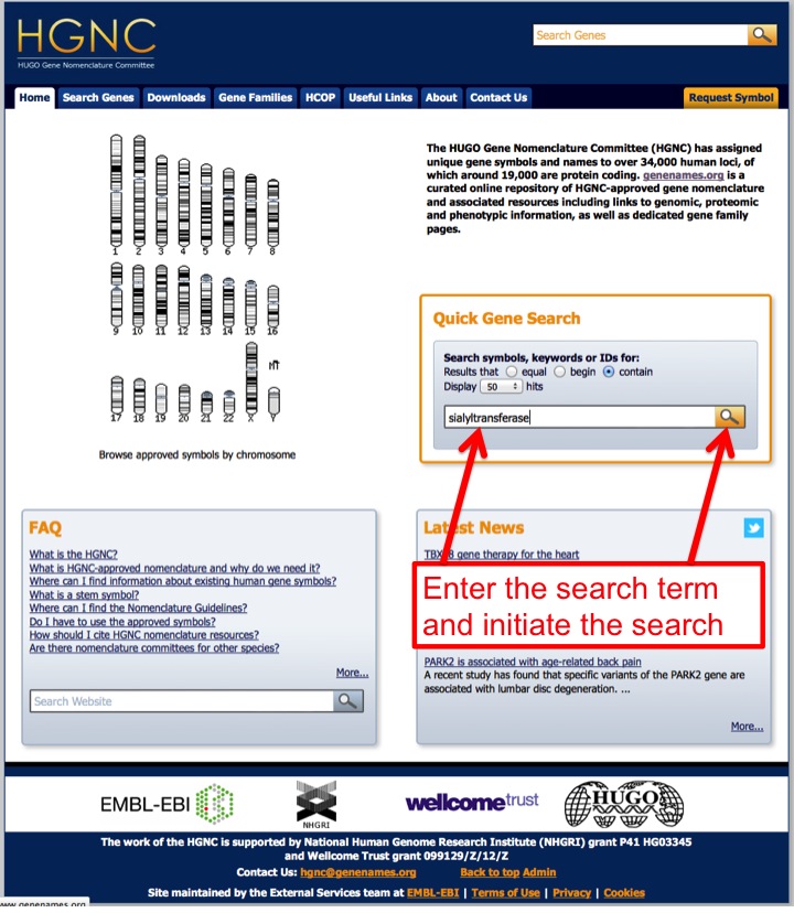 Searching the HGNC GeneNames site for an enzyme activity.