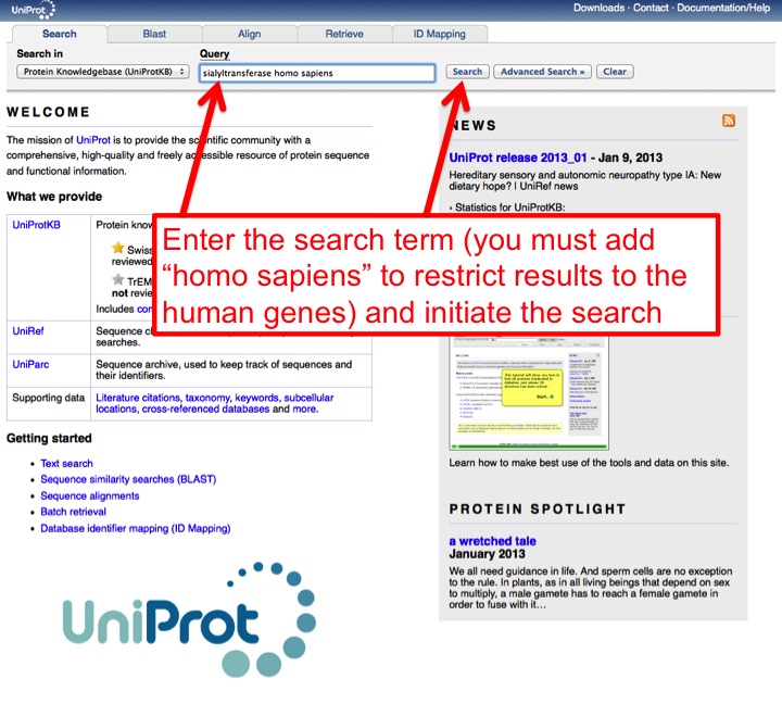 The equivalent query at UniProt, restricted by organism.
