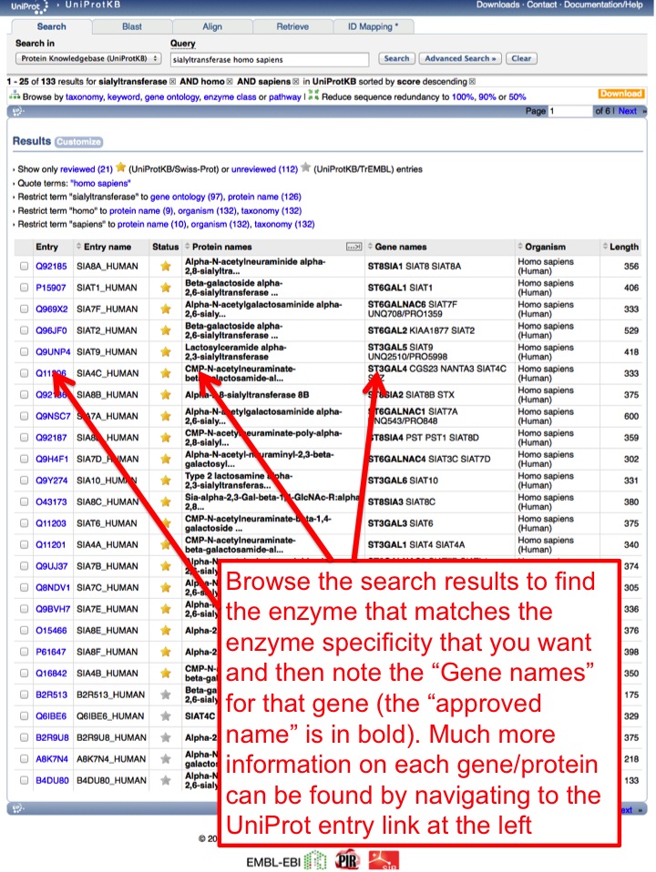 UniProt results listing gene names for each matching entry.