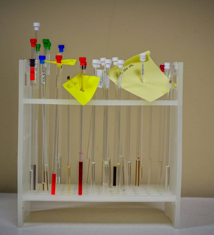 Bioinformatics & AI Tools