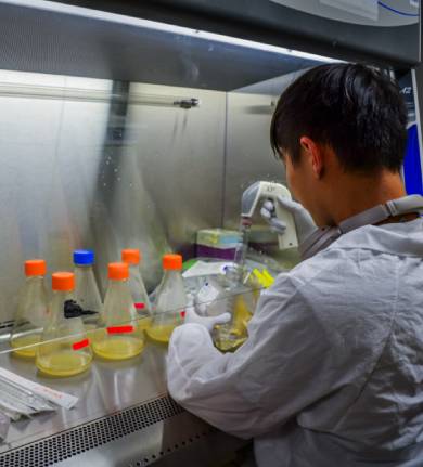 Elucidating biological and biochemical ‘rules’