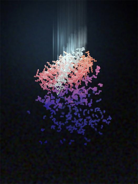 47th Symposium on Biomaterials, Fuels and Chemicals