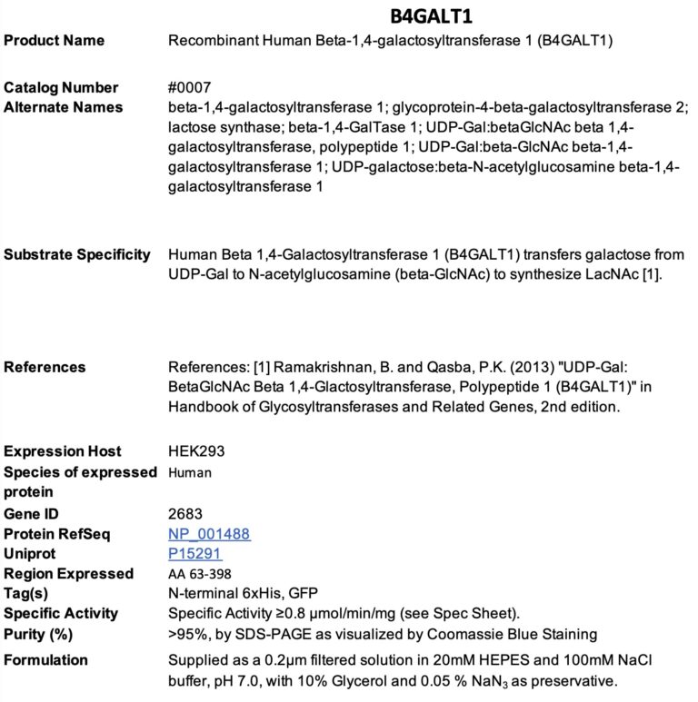 Product data sheet for B4GALT1