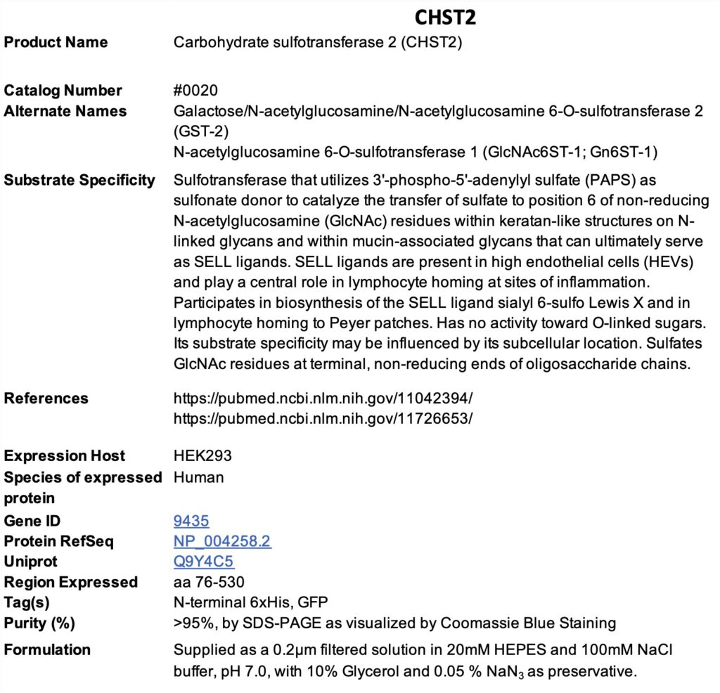 Reaction scheme for CHST2