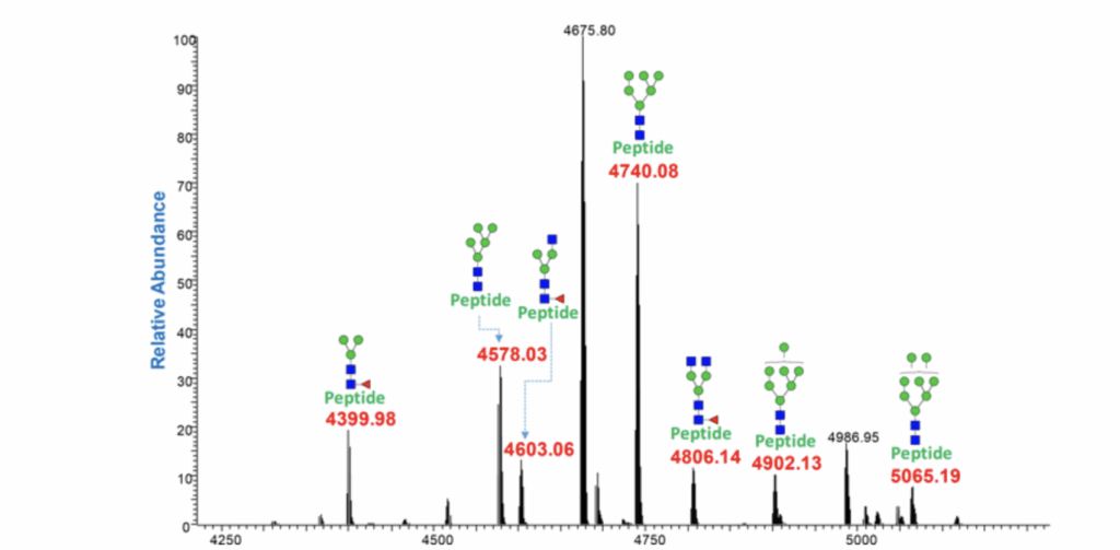 A mass spectrometry graph shows several peptide peaks labeled with their mass-to-charge ratios and glycan structures, displaying relative abundance versus mass/charge (m/z) values.