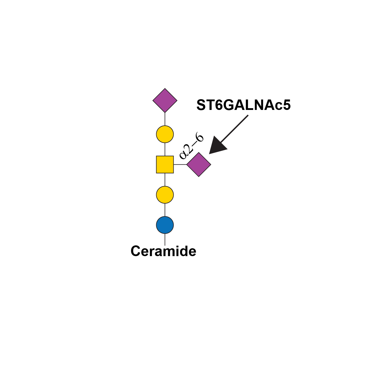 Reaction scheme for ST6GALNAC5