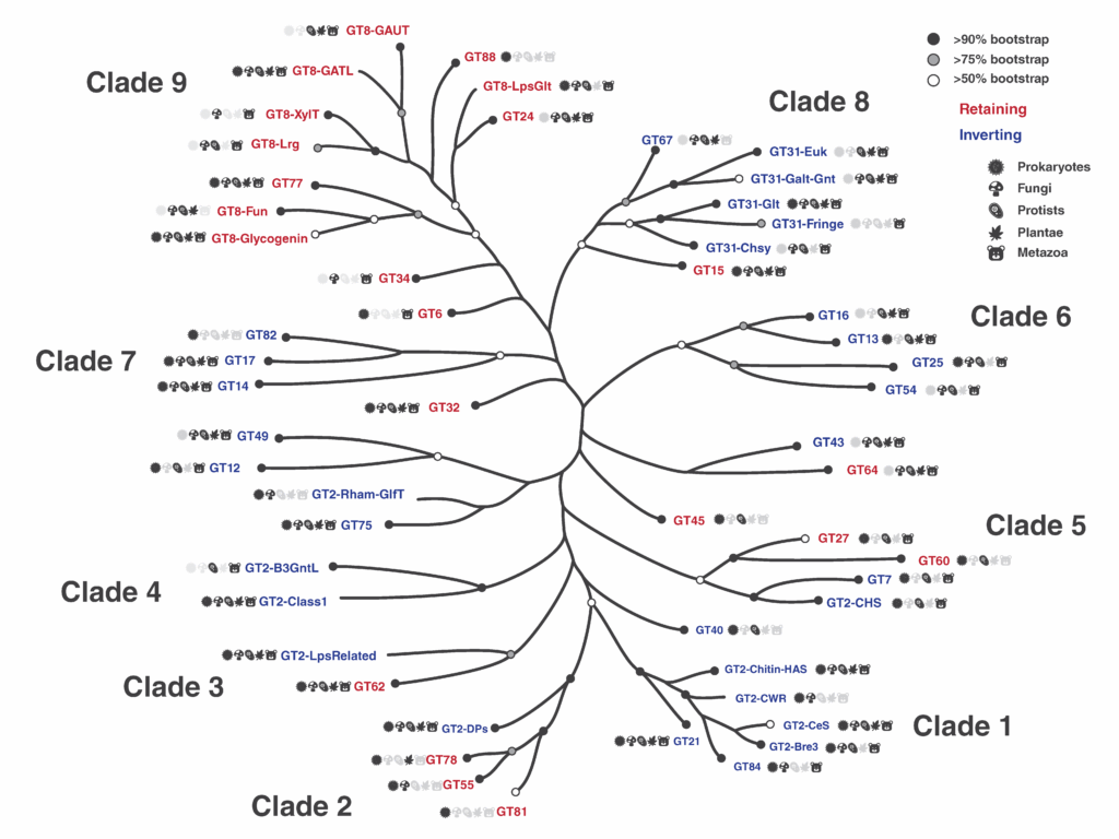 Bioinformatics analysis figure